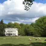 Happy planet professionals heuvelrug wandeling Amersfoort schothorst