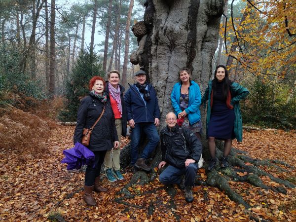 Je bekijkt nu HPP wandeling – Kring Utrechtse Heuvelrug (voor leden en introducés)