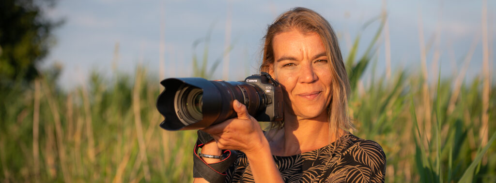 van-merkstrategie-tot-visuele-vertaling